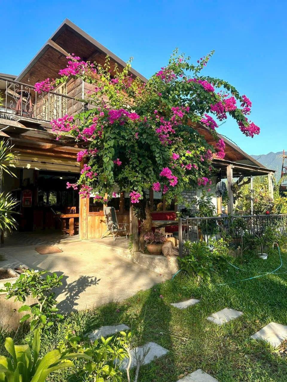 Homestay Homie Hava *